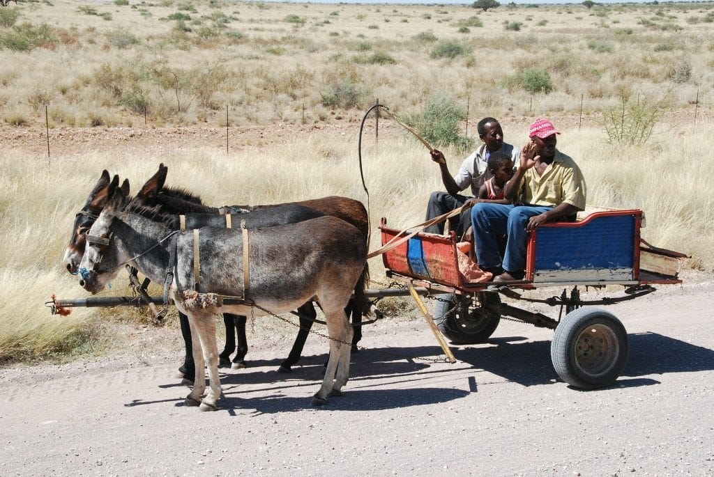 Transport gay en Namibie