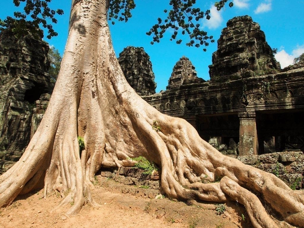 Voyage aux temples d'Angkor Vat