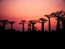Guide voyage avant de partir pour le Madagascar