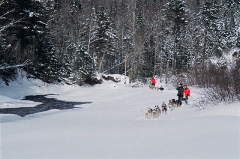 Vivre l’expérience du traineau à chiens près de Québec