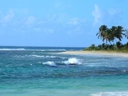 10 choses à voir sur un road trip en Guadeloupe