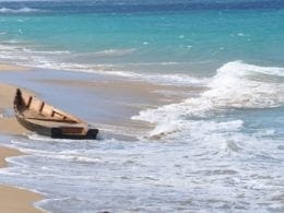 Porto Rico : Vieques, l'île sauvage à visiter