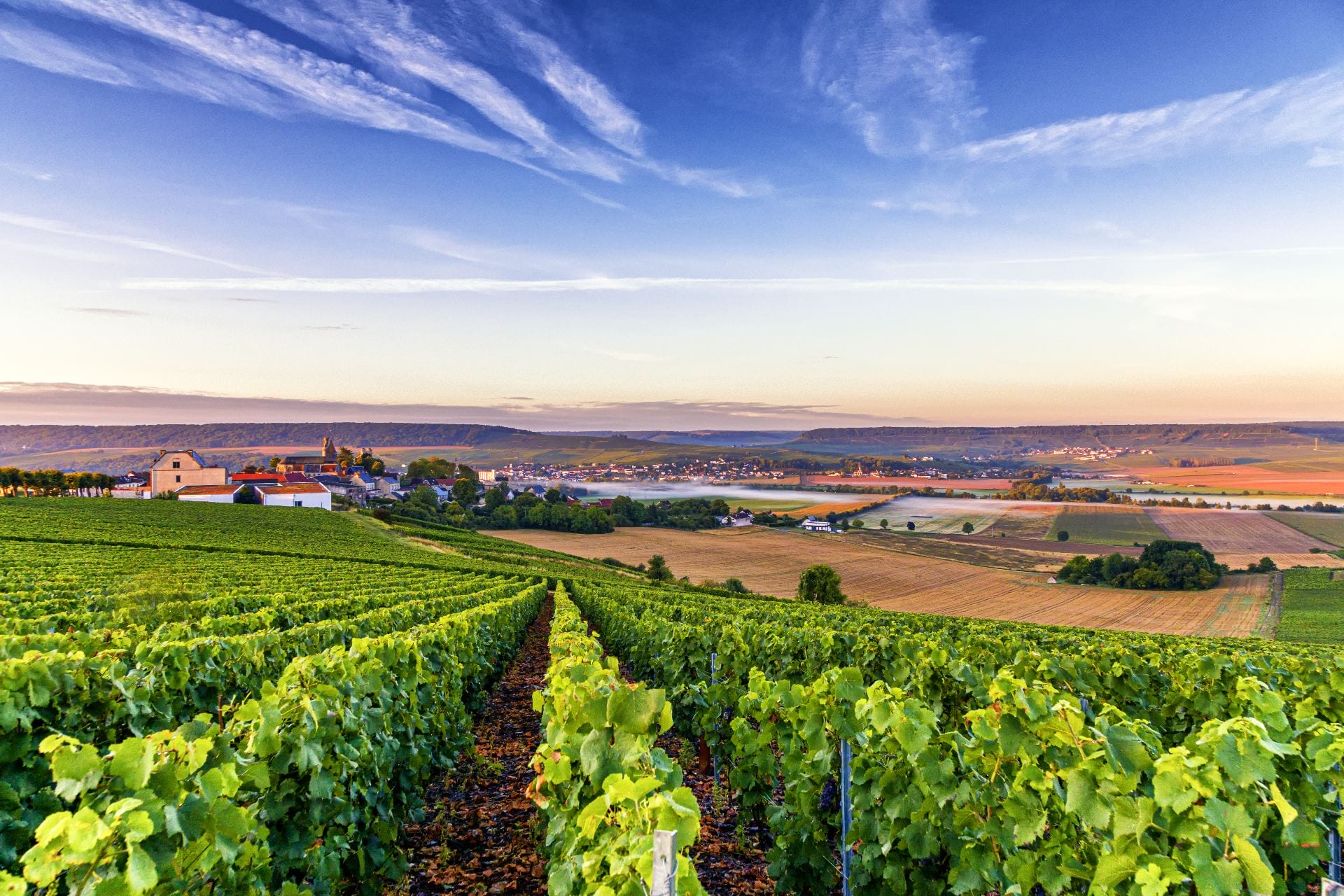 Les plus belles routes des vins de France